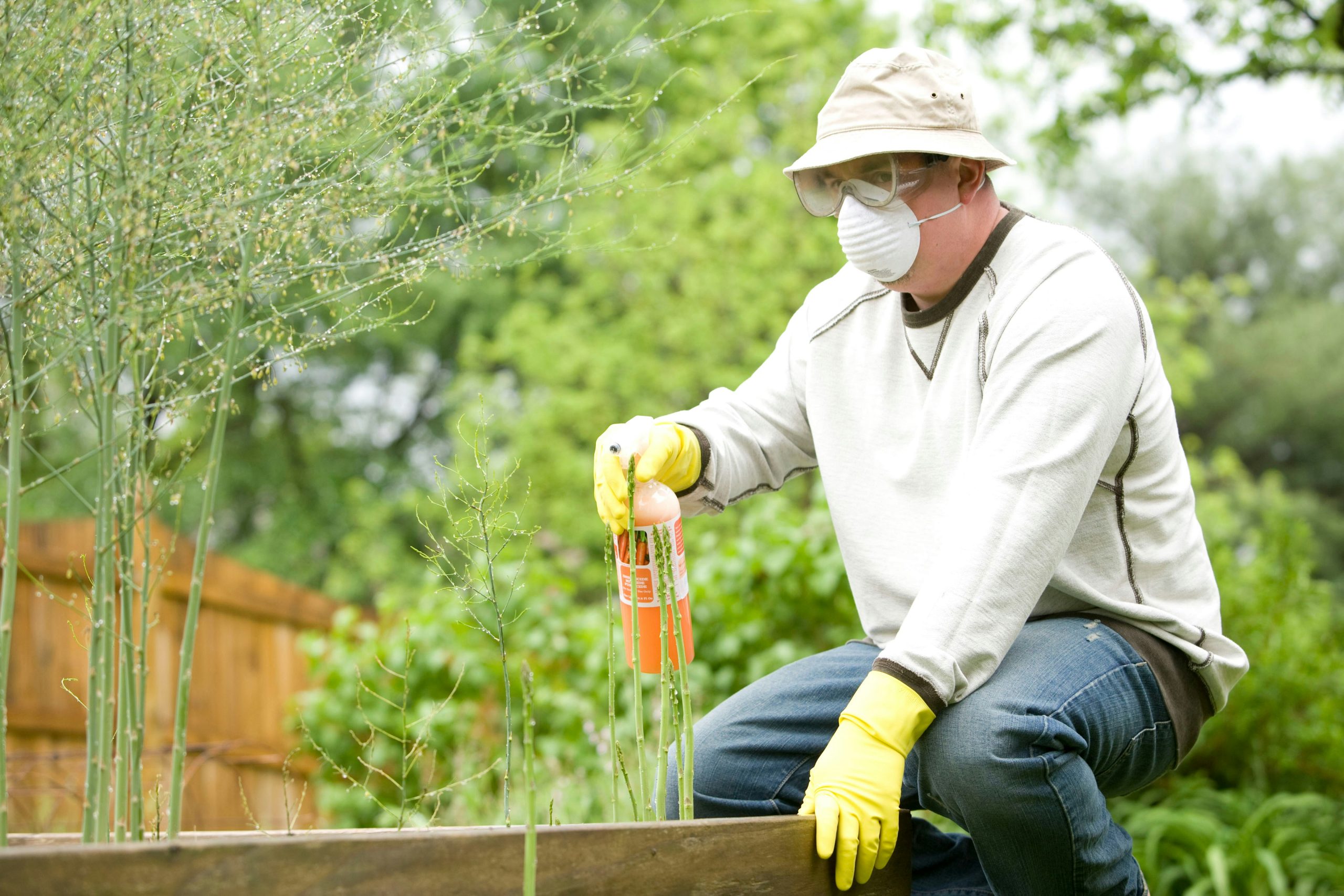 Top Reasons to Hire a Pest Control Company in Dubai like Shiny Surface
