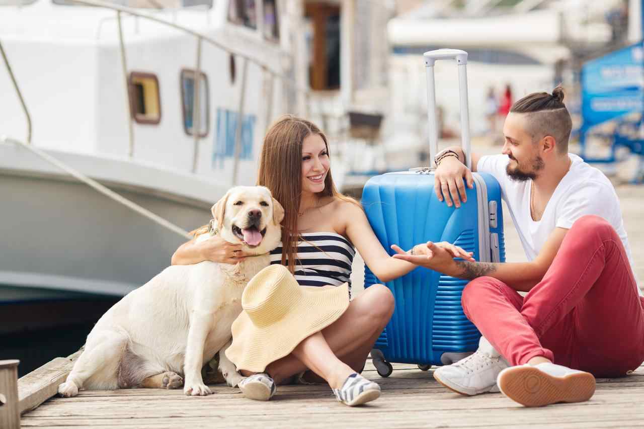 Dog Boarding Dubai: Ensuring Your Pet’s Health, Routine, and Comfort While You Travel