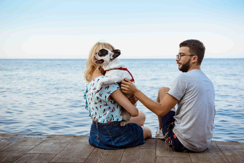 Enjoy a Pet-Friendly Adventure with Yacht Rental Dubai